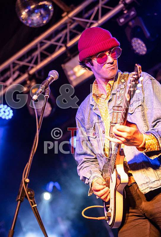 Surfin Birds-50 - SURFIN' BIRDS