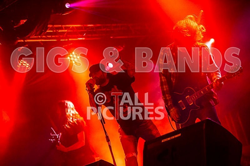 Viking Skull-28 - VIKING SKULL