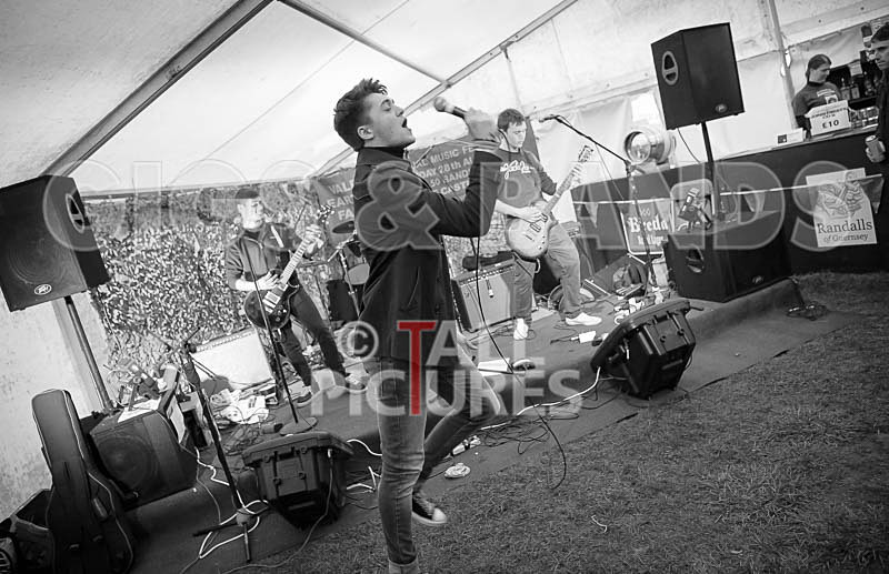 The Doomsday Project-133 - THE DOOMSDAY PROJECT