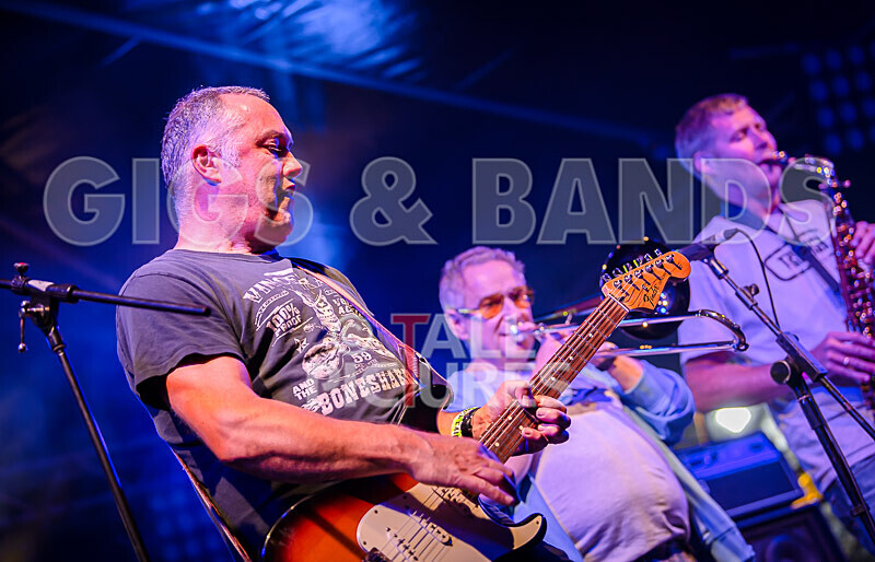 The Risk-445 - THE RISK