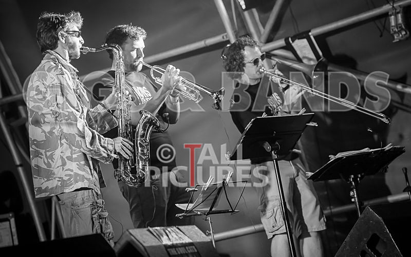 Sons of the Desert-328 - SONS OF THE DESERT