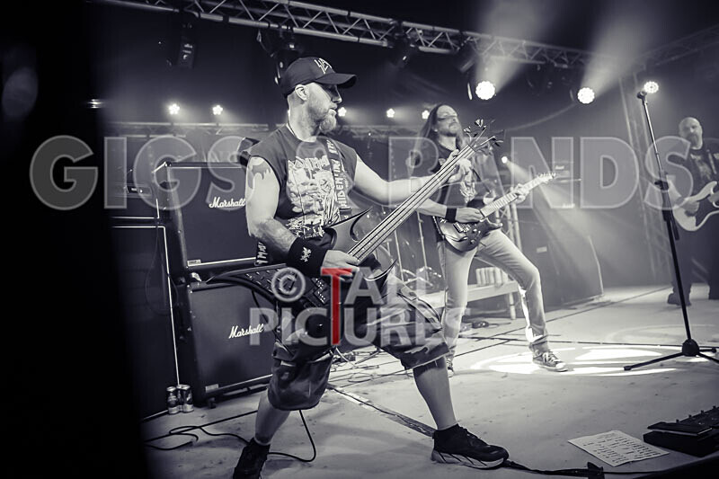 Maiden Guernsey-251 - MAIDEN GUERNSEY