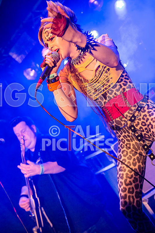 Pussycat and the Dirty Johnsons-31 - PUSSYCAT AND THE DIRTY JOHNSONS