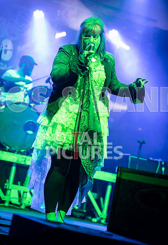 Static Alice-495 - STATIC ALICE