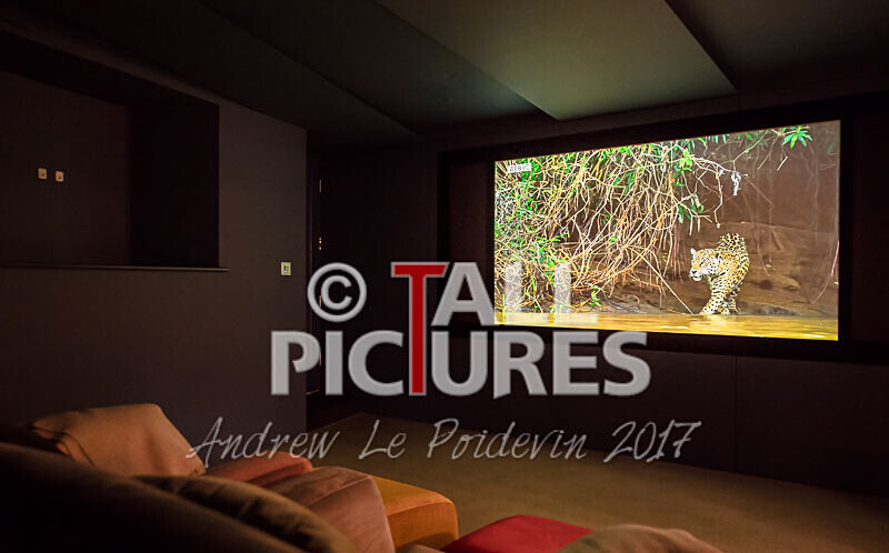 Avolution_St James Place-12 - BASEMENT CINEMA WITH CUSTOM LIGHTING