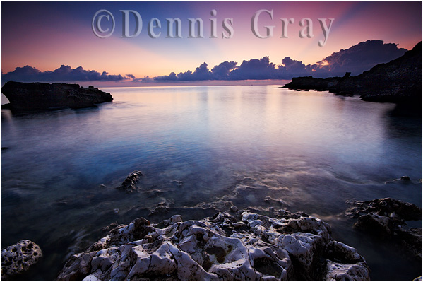  - Gallery