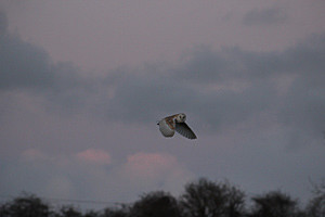 IMG_3720 - unedited version - Joel Southgate Card Images