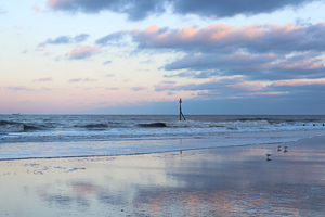 IMG_1535 - Joel Southgate - Non-card images