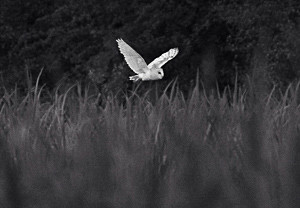 IMG_2764 - Joel Southgate Card Images