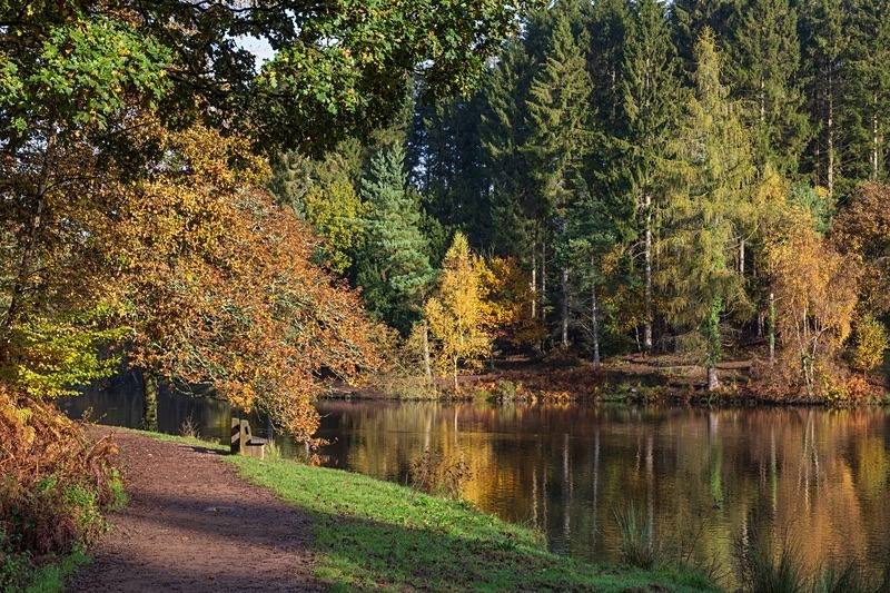 Early Autumn Reflections - Autumn