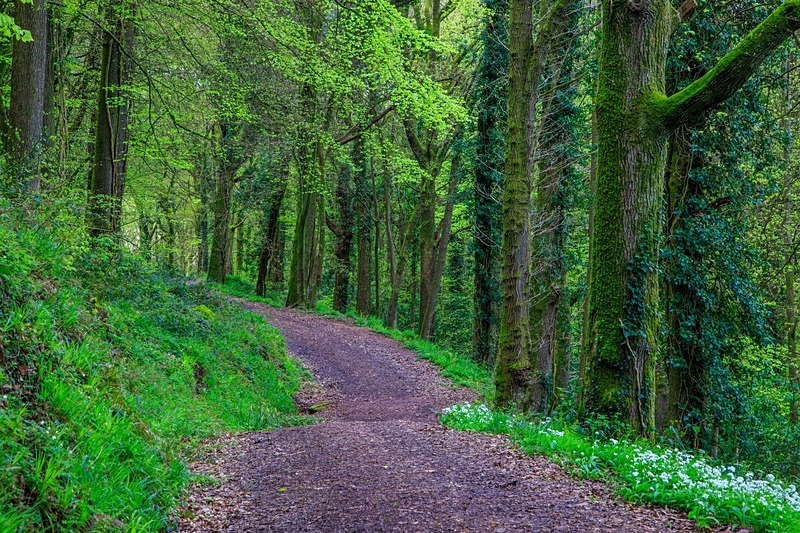 Offa's Dyke Path - Spring