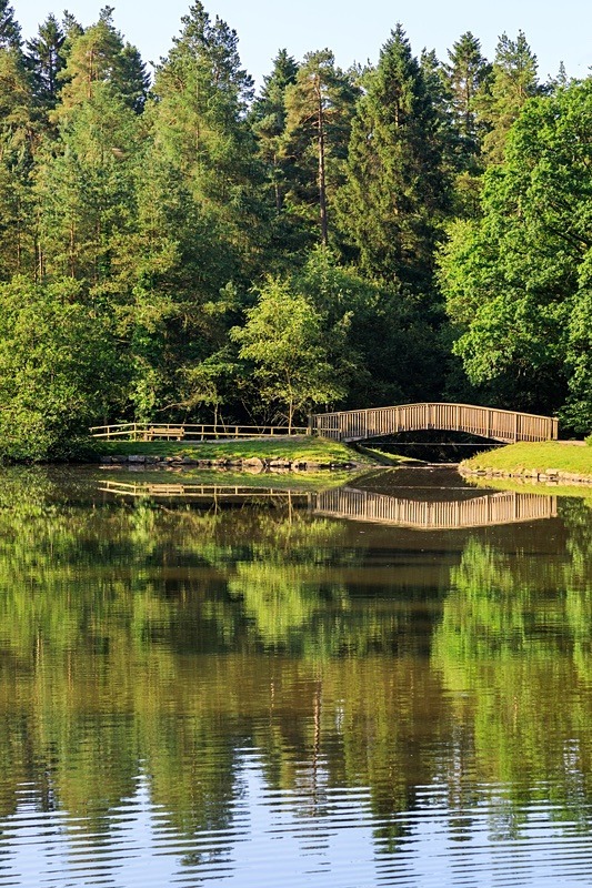 Footbridge Reflections - Summer