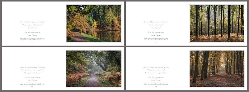 Autumn No.2 - Landscape Cards