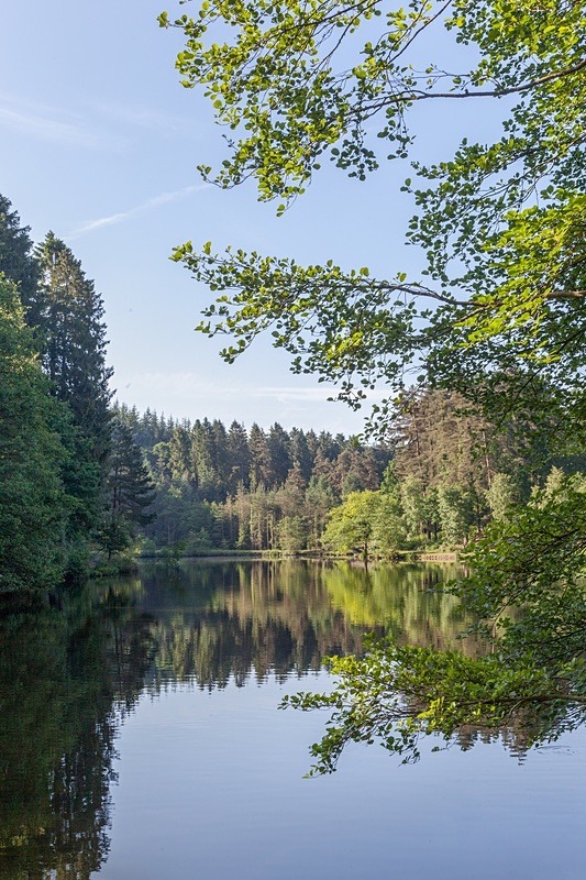 Morning reflections at Mallards Pike - Summer
