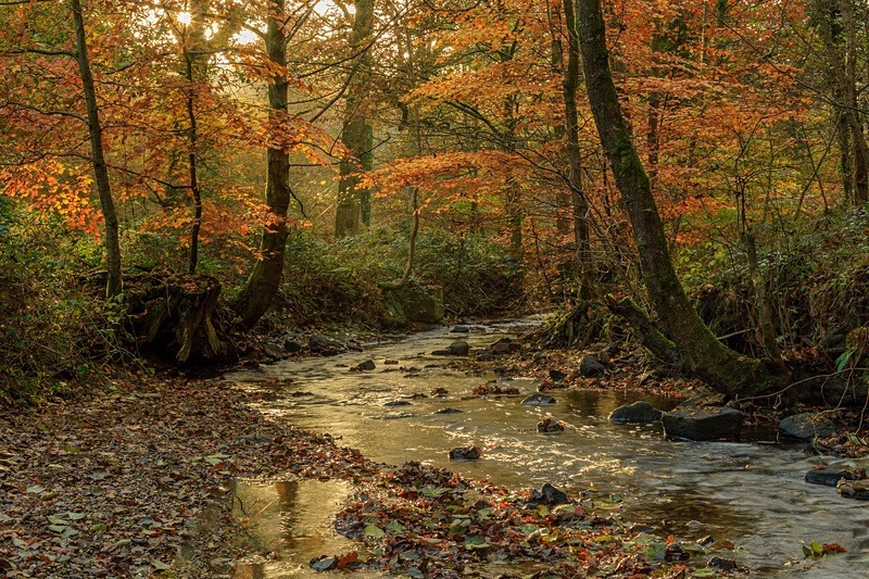 Autumn at Wenchford - Autumn