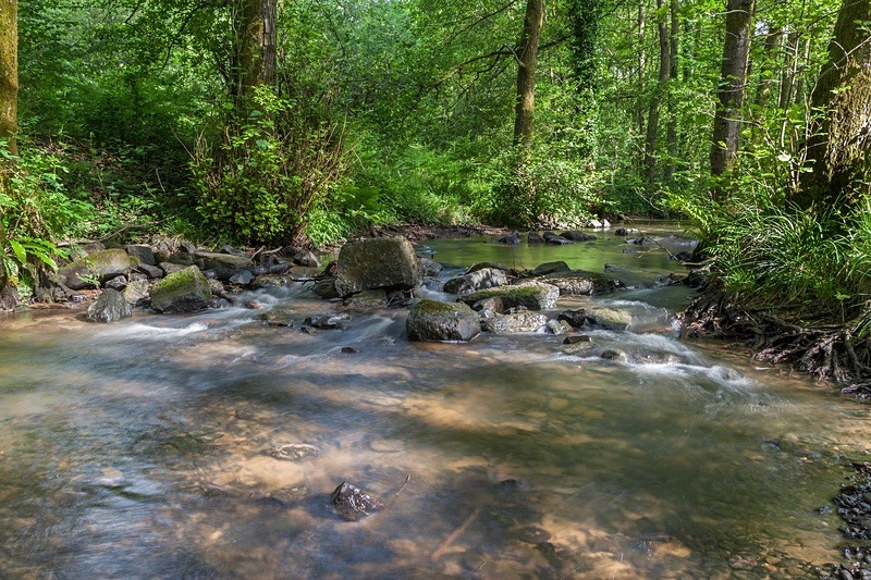 Flowing over - Summer