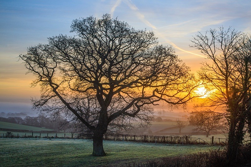February Sunrise 2 - Winter