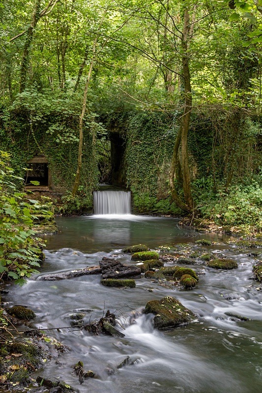 Lower Forge - Summer