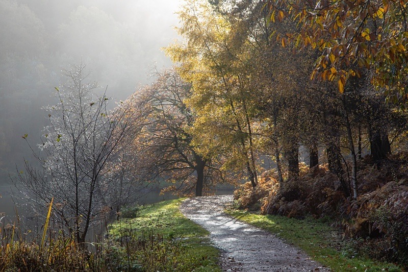 Breaking Through - Autumn