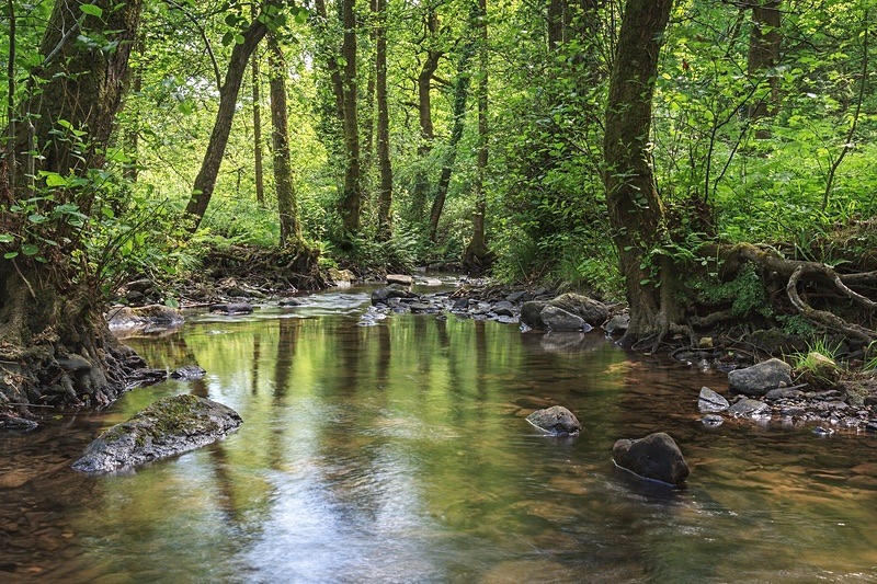 Summer Stream - Most Popular Images
