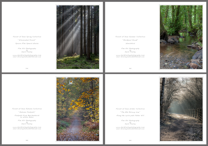 4 Seasons Portrait No.2 - Portrait Cards