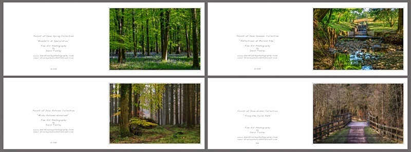 4 Seasons Landscape No.2 - Landscape Cards