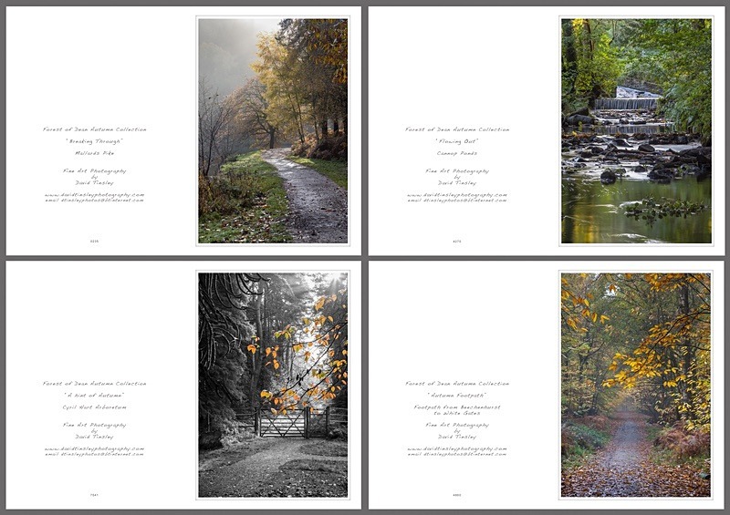 Autumn Portrait No.1 - Portrait Cards