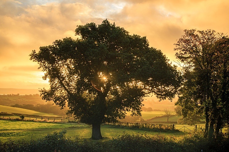 Early Autumn Sunrise - Autumn