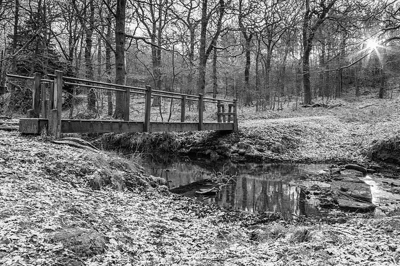 Stepping Stones - Mainly Black & White