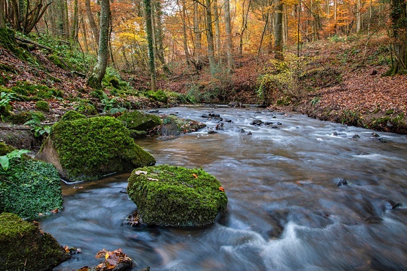 Cascading Over The Rocks - Autumn