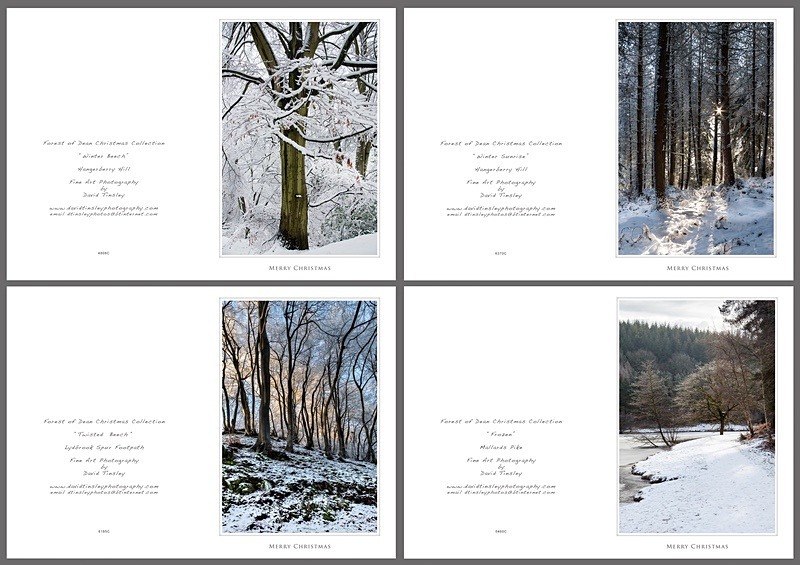 Christmas Portrait No2 - Christmas Cards
