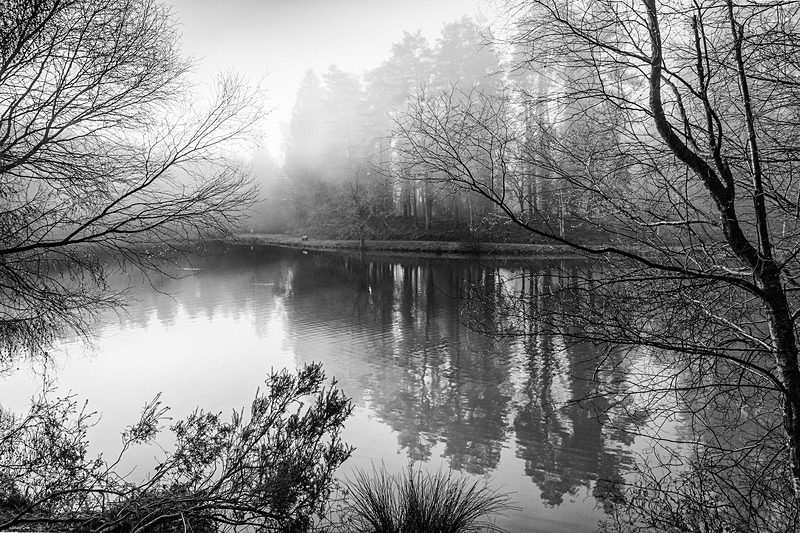Misty Mallards Pike in Monochrome - Mainly Black & White