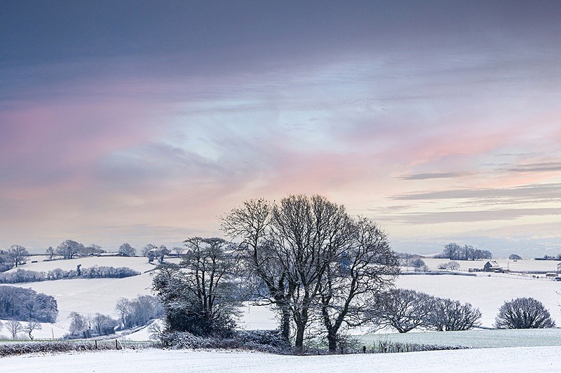 Janurary Sunrise - Winter