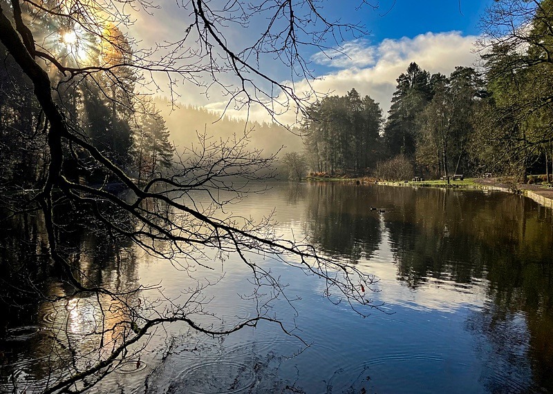 Winter Sunrays - Winter