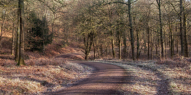 Bromley Hill Panorama - Panoramic Canvas