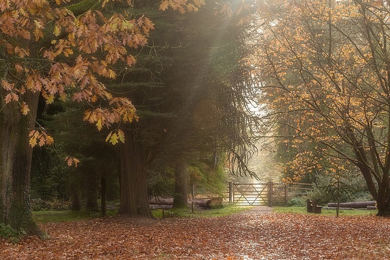 Autumn Gateway - Autumn