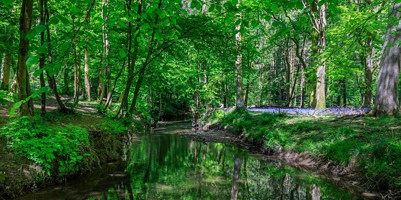 Reflections in the River Lyd - Panoramic Canvas