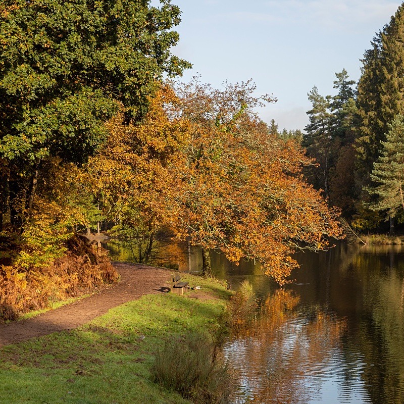 Early Autumn Reflections - Square Canvas