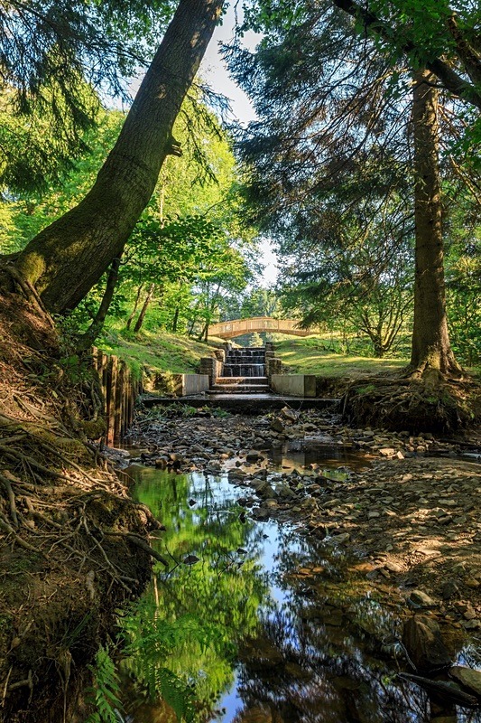 Summer Reflections at Mallards Pike - Summer