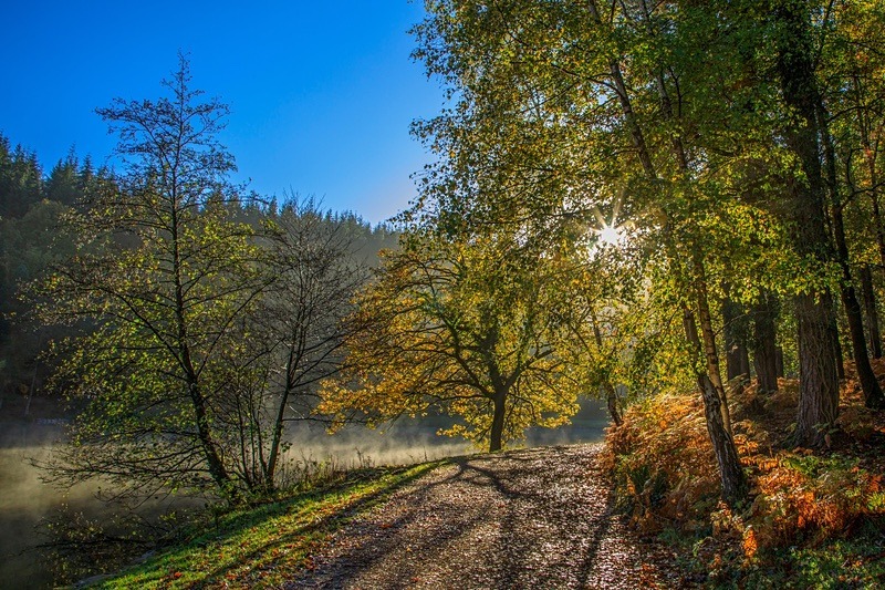 Misty Mallards Pike - Autumn