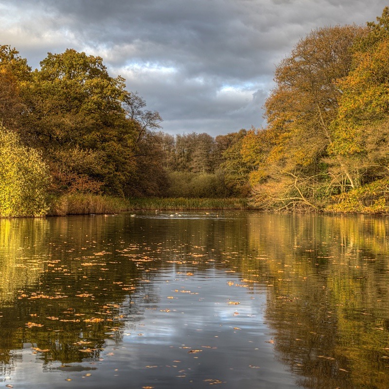 Autumn Ponds - 2 - Square Canvas