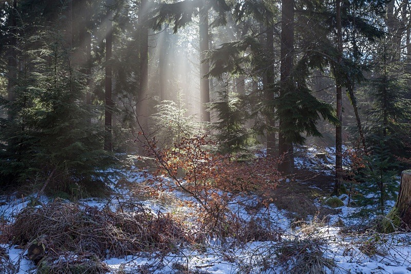 Winter Sunrise - Winter