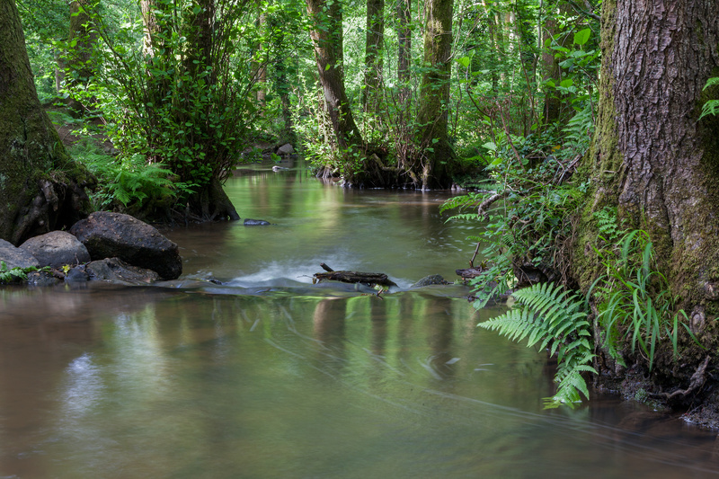 Flowing Through - Summer