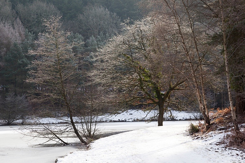 Winter at Mallards Pike - 3 - Winter