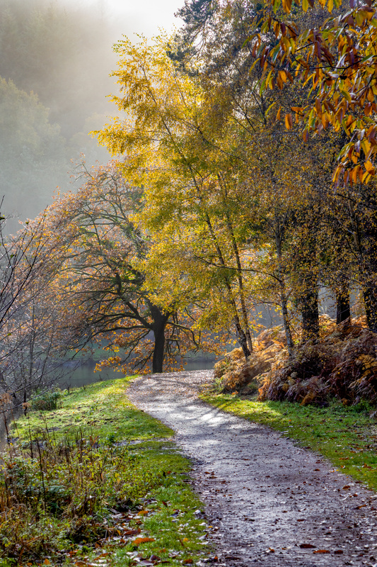 Breaking Through - Autumn