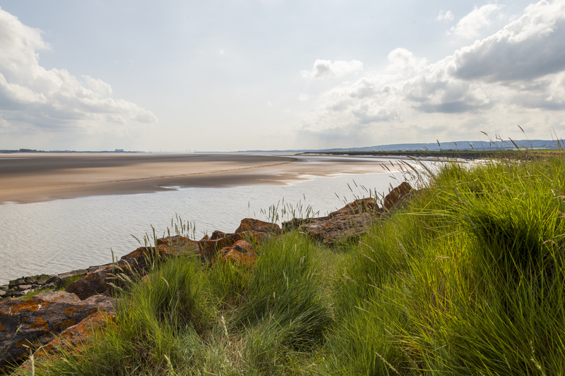 Towards the Headland - Summer