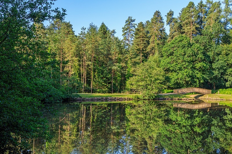 Footbridge Reflections - Summer