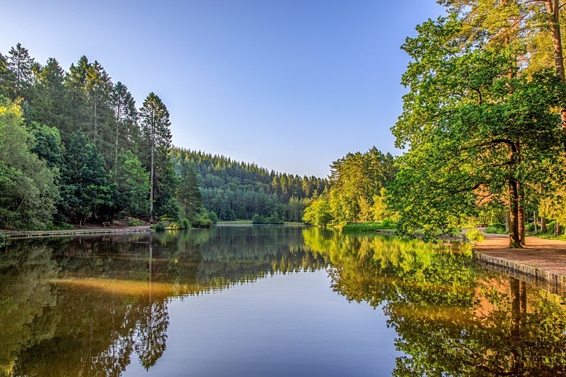 Summer Reflections at Mallards Pike - Summer