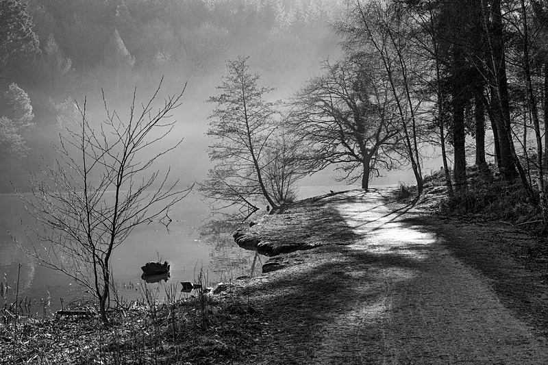 Misty Mallards Pike in Monochrome - Mainly Black & White