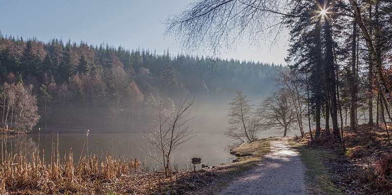 Winter Mist at Mallards Pike - Panoramic Canvas